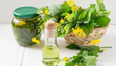 Celandine decoction for the treatment of nail fungi
