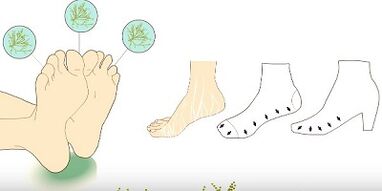 Prevents the appearance of fungi on toes